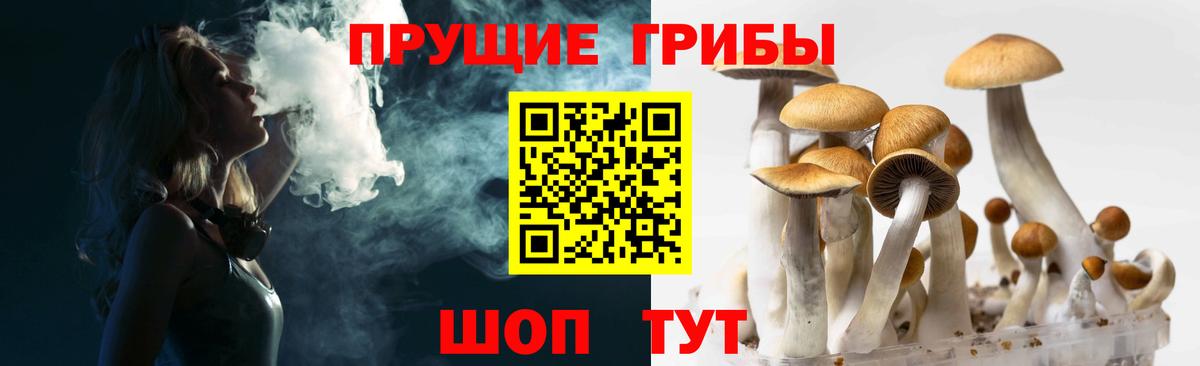 Ейск  даркнет сайт  Вход с VPN  Псилоцибиновые грибы Cubensis 